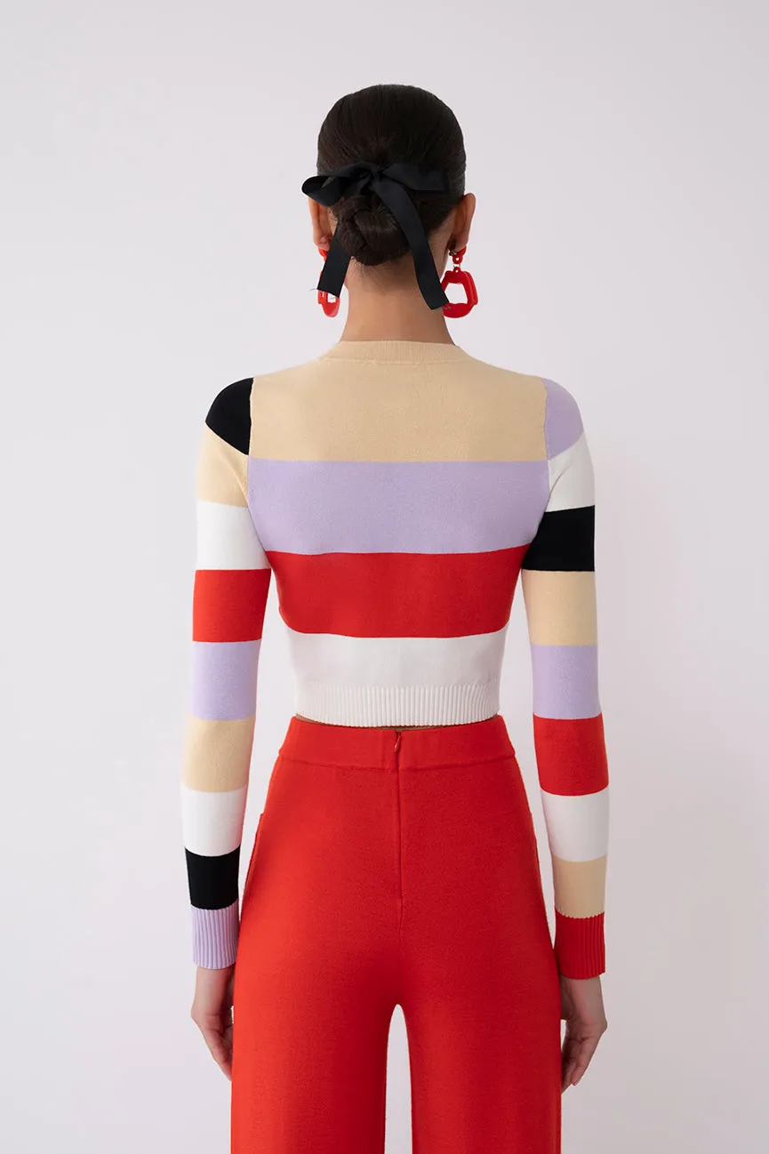 Color Block Peachskin Long Sleeve Crop Crew Neck