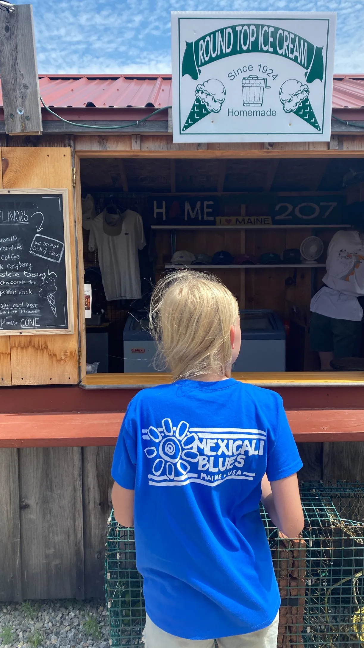 Wild State of Maine Kids' T-Shirt